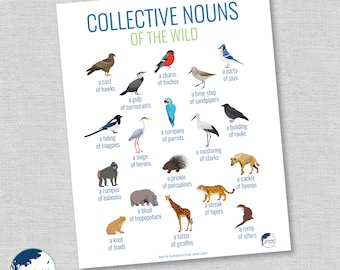 collective nouns - PART 2 - animals & birds - wall art - nature art - nursery art - animal poster - instant download