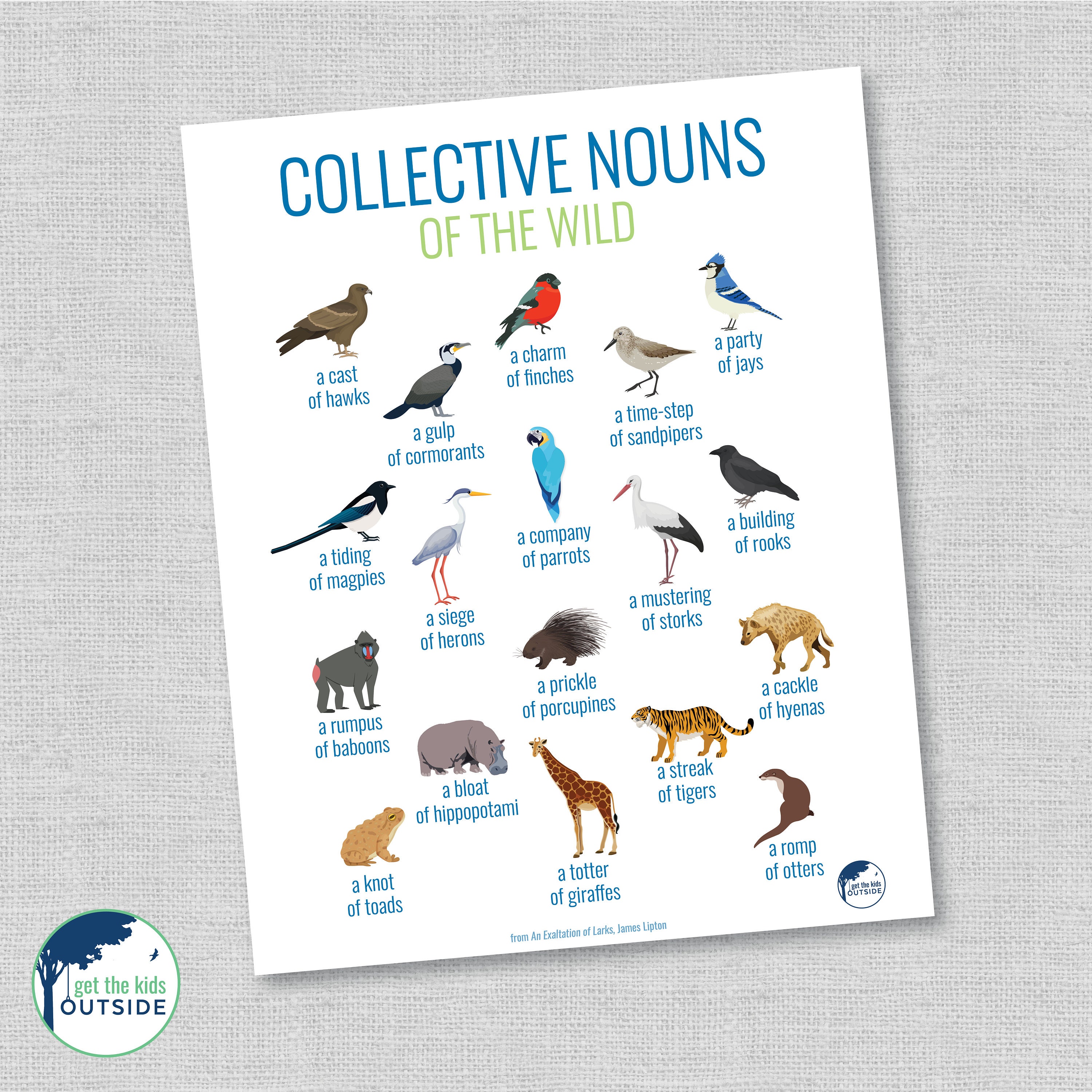 Collective nouns PART 2 animals & birds wall art Etsy