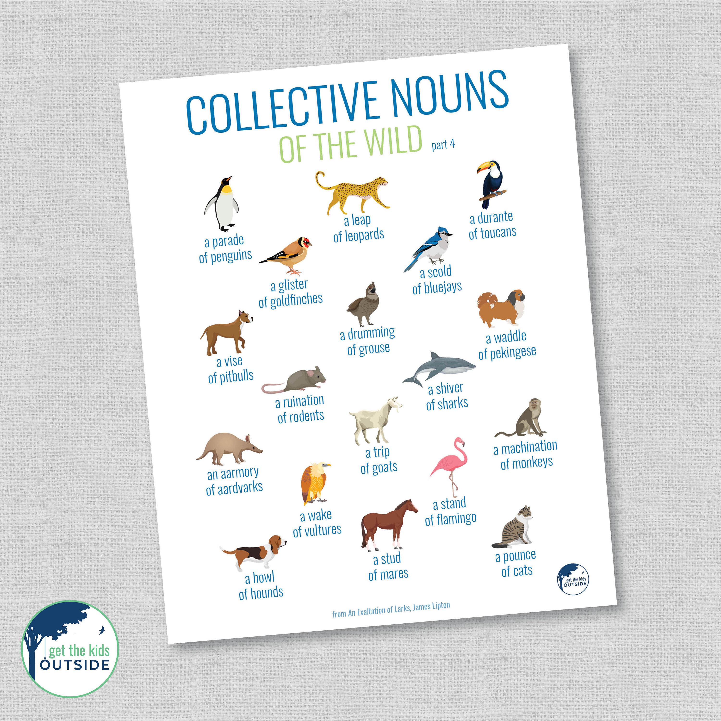 Collective nouns PART 4 animals & birds wall art Etsy