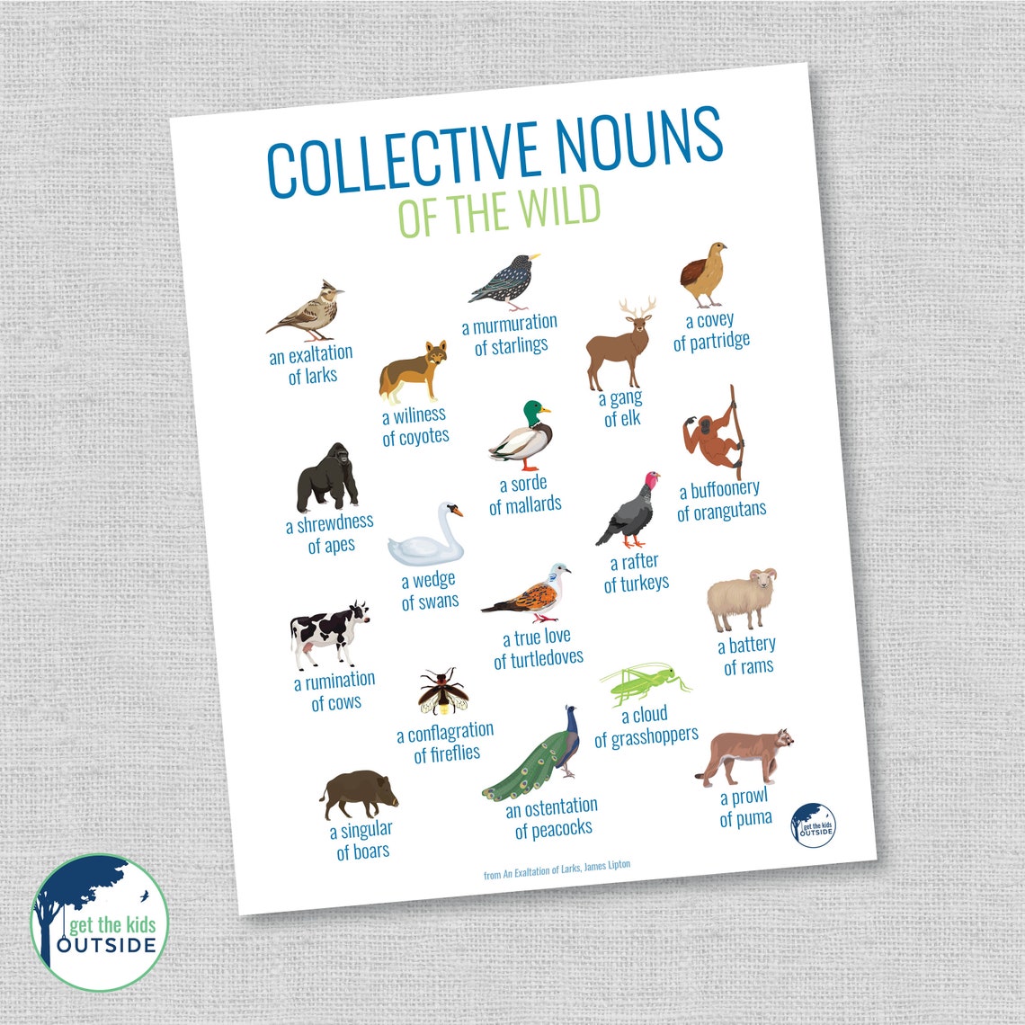 Collective Nouns PART 3 Animals & Birds Wall Art Etsy UK