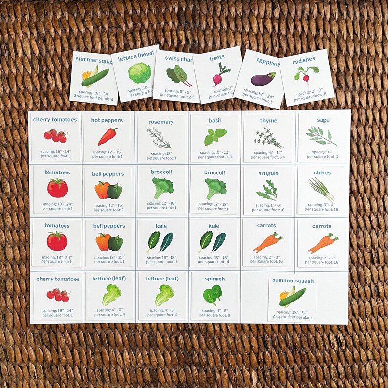 May include: A chart with illustrations of various vegetables and herbs, including cherry tomatoes, hot peppers, rosemary, basil, thyme, sage, tomatoes, bell peppers, broccoli, arugula, chives, kale, carrots, lettuce, spinach, and summer squash. Each card includes the name of the plant, spacing recommendations, and the number of plants per square foot.