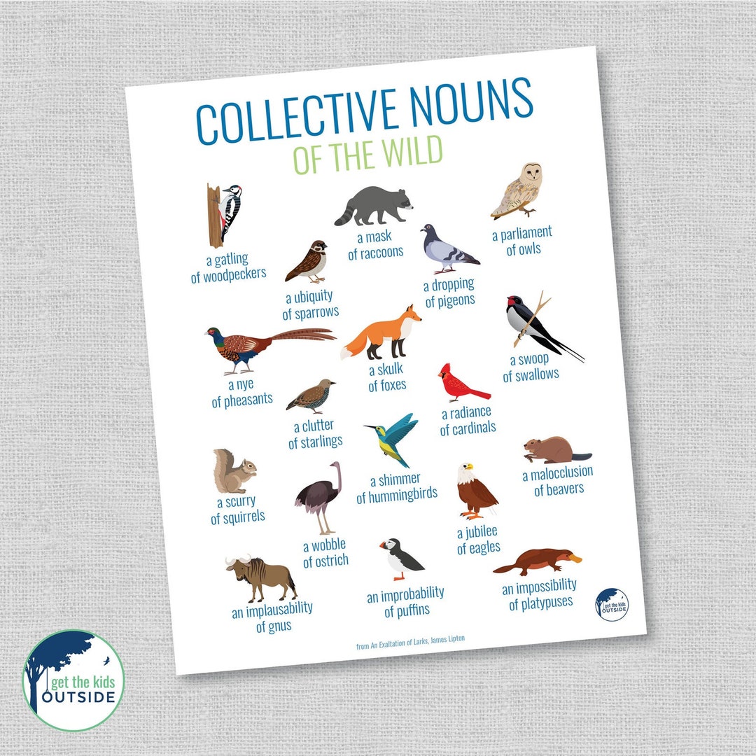 Collective Nouns PART 1 Animals & Birds Wall Art - Etsy UK Collective Nouns PART 1 Animals & Birds Wall Art - Etsy UK