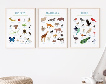 animal poster TRIO - Collective Nouns (insects, mammals, birds); animal art, nursery art, wall art, homeschooling poster, digital