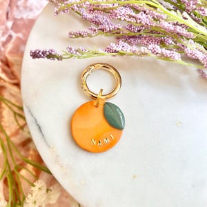 Placa para mascotas de arcilla polimérica naranja: dije personalizado de fruta para collar de perro