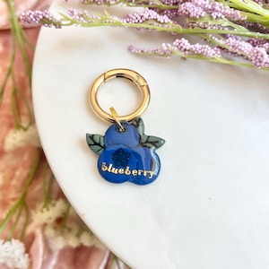 Placa para mascotas de arcilla polimérica de arándanos: dije de fruta personalizado para collar