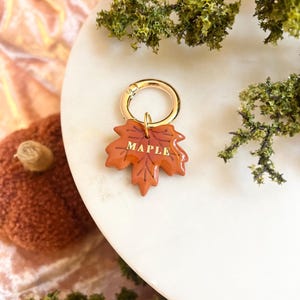 Etiqueta de identificação para animais de estimação Maple Leaf: etiqueta de coleira de outono personalizada em argila