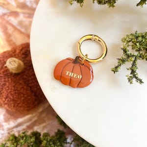 Custom Pumpkin Pet Tag: Polymer Clay Fall Collar Tag