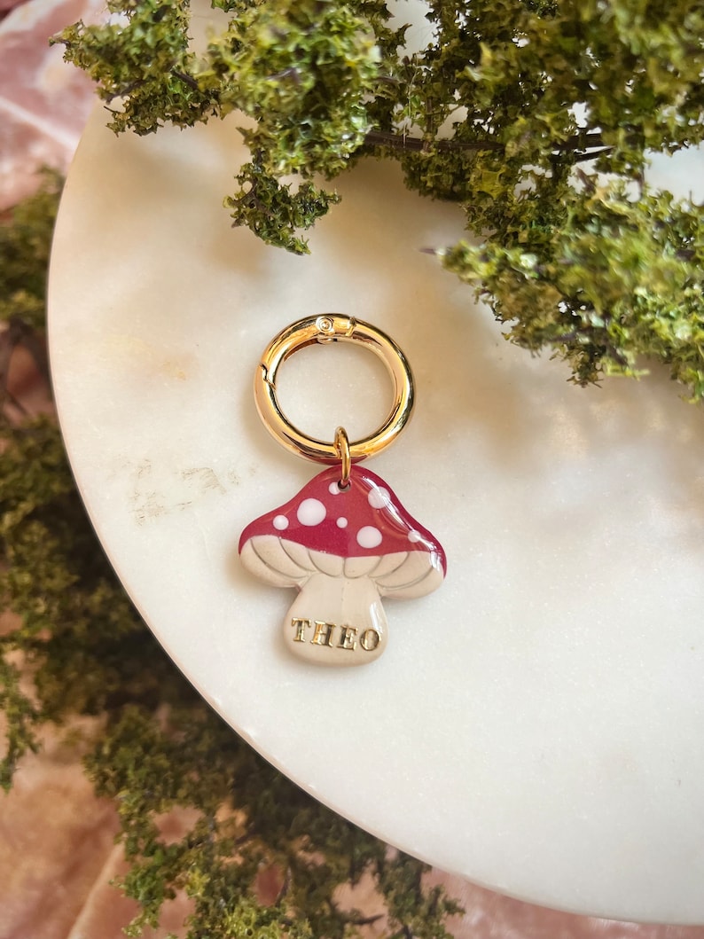 Puede incluir: Encanto de oro con una seta roja y blanca con puntos blancos y el nombre "THEO" escrito en la parte inferior.