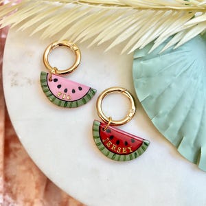 Etiqueta de mascota de sandía: dije de arcilla personalizado para collar