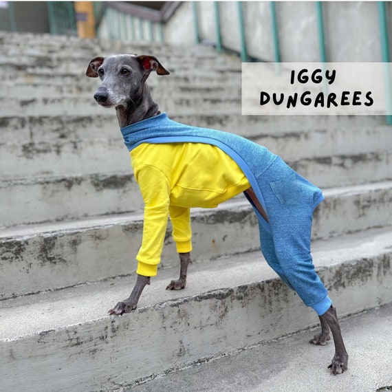 Italian Greyhound Pants Italian Greyhound Pants
