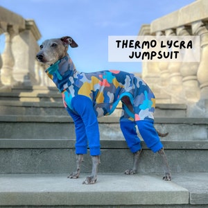 CUSTOM Italian greyhound THERMO lycra jumpsuit, overall Moro