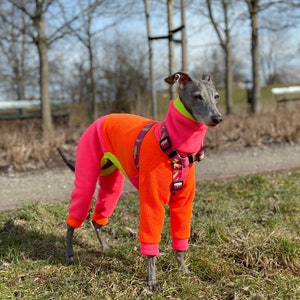 Italiaanse windhond AANGEPASTE SUPER warme fleece jammies / jumpsuit