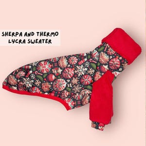 Lévrier italien / pull de Noël Whippet / pull / pyjama