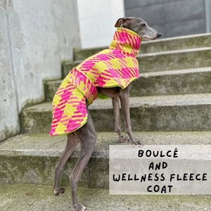 Italian Greyhound elegant ALAUDA wool coat
