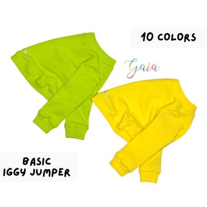 Italian greyhound BASIC JUMPER / pajamas / dungarees