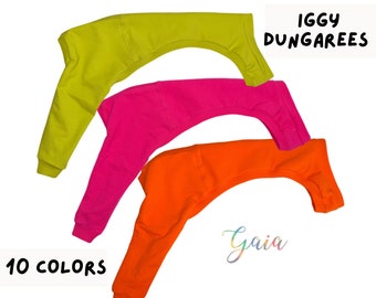 May include: Three dog dungarees in different colors: neon green, hot pink, and orange. The text "IGGY DUNGAREES" is at the top of the image. The text "10 COLORS" is at the bottom left of the image. The text "Gaia" is at the bottom right of the image.