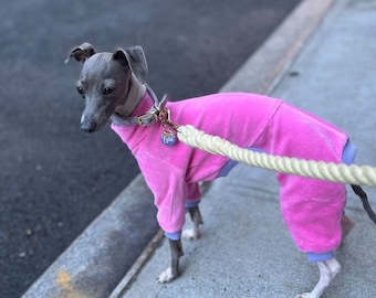 CUSTOM Italian greyhound / Manchester Terrier VELVET pajamas / jumpsuit / coat / 7 COLOURS