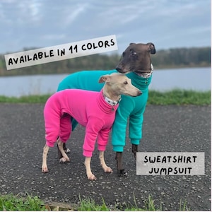 CUSTOM WARM Italian greyhound BASIC jammies / jumpsuit / overall
