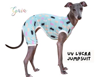 CUSTOM Italian greyhound BEACHSUIT / romper / jumpsuit / swumsuit