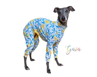 CUSTOM Italian greyhound Lemonade / jumpsuit