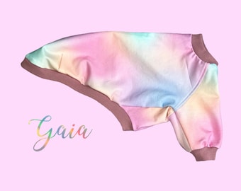 May include: A pink, blue and yellow tie-dye dog sweater with a brown ribbed collar. The sweater is folded in half and the text "Gaia" is written in a colourful font below the sweater.