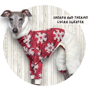 CUSTOM Italian greyhound sherpa and THERMO lycra jumpsuit, overall Winter
