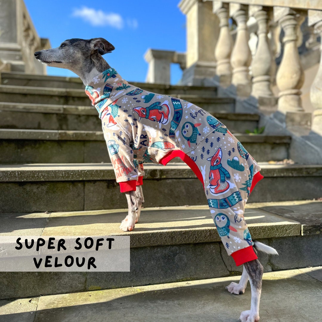 CUSTOM Italian Greyhound Jammies / Jumpsuit / Pajamas Super Soft Velour ...