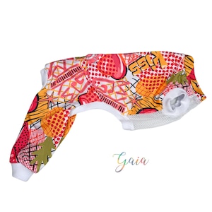 CUSTOM UV protection lycra Italian greyhound Jumpsuit