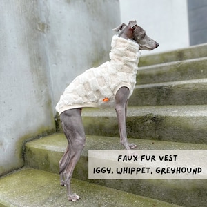 Puede incluir: Un perro pequeño de color gris que lleva un chaleco de piel sintética de color crema. El chaleco tiene cuello alto y un patrón acolchado. El perro está de pie en un conjunto de escalones de hormigón. El texto "FAUX FUR VEST IGGY, WHIPPET, GREYHOUND" está debajo del perro.