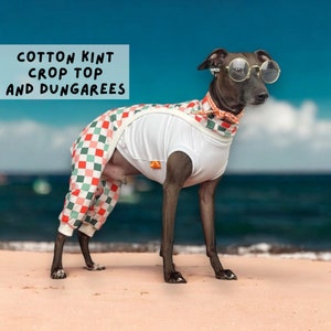 Italian greyhound SET jumper and pants / pajamas /