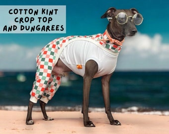 Italian greyhound SET jumper and pants / pajamas /