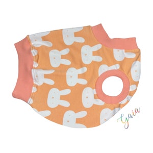 Italian greyhound sleeveless tank top BUNNY / crop top / tee