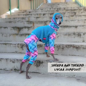 CUSTOM Italian greyhound THERMO lycra jumpsuit, overall
