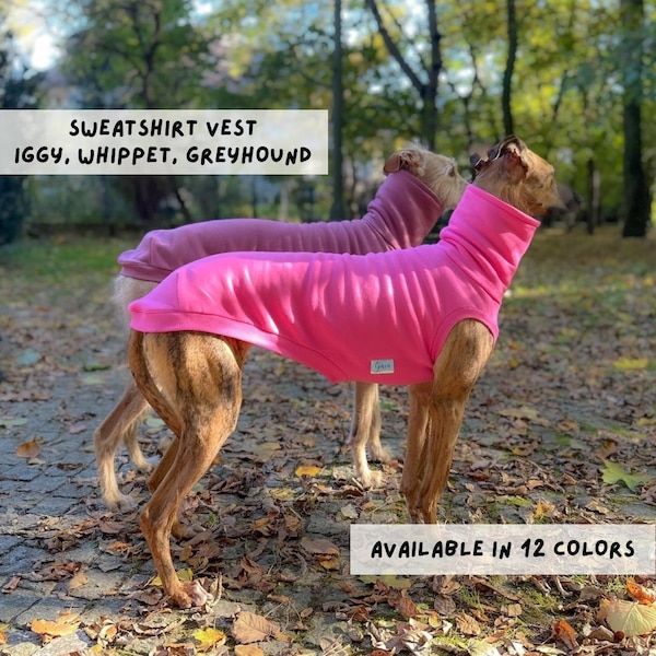 Sweatshirt vest ITALIAN greyhound, WHIPPET, GREYHOUND