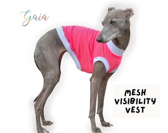 Italian greyhound VISIBILITY MESH neon t-shirt / top / tee / crop top