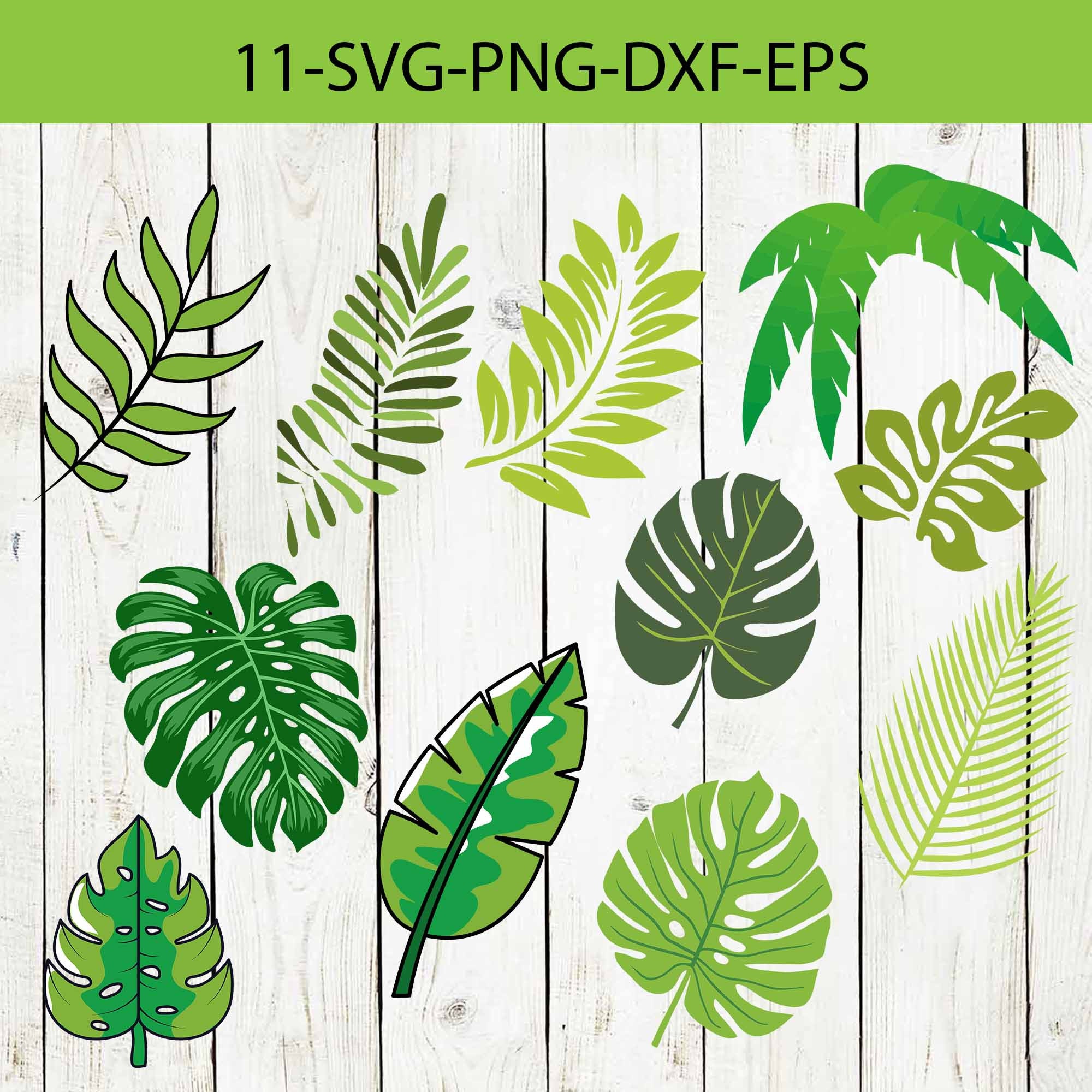 4 Formine Per Biscotti A Forma Di Foglia Tropicale - Plastica Alimentare, Per Decorazione Dolci - Foto 4