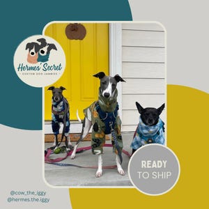 Hermes Secret Ready to Ship Jammies