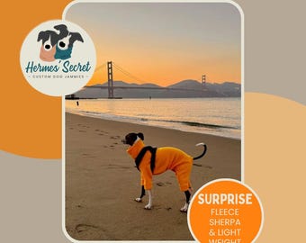 Hermes' Secret Surprise Jammies