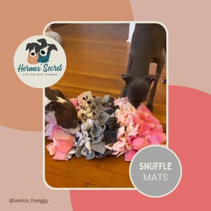 Hermes Secret Snuffle Mat