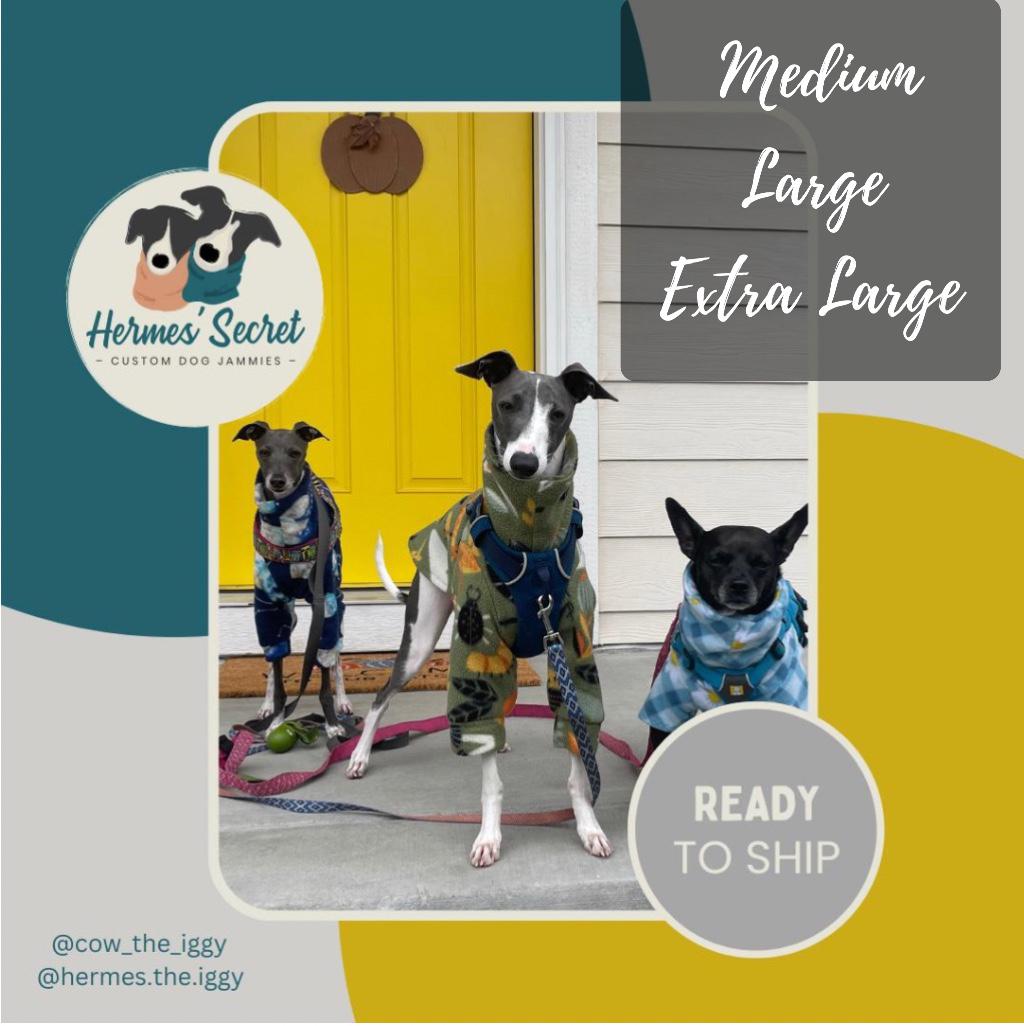 Hermès dog - Etsy France