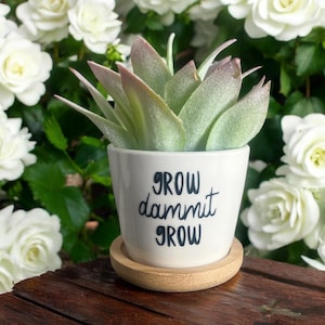 May include: A small, white ceramic pot with the text "GROW dammit GROW" in black lettering, holding a faux succulent plant. The plant has green and purple-tipped leaves. The pot sits on a small, round wooden saucer.