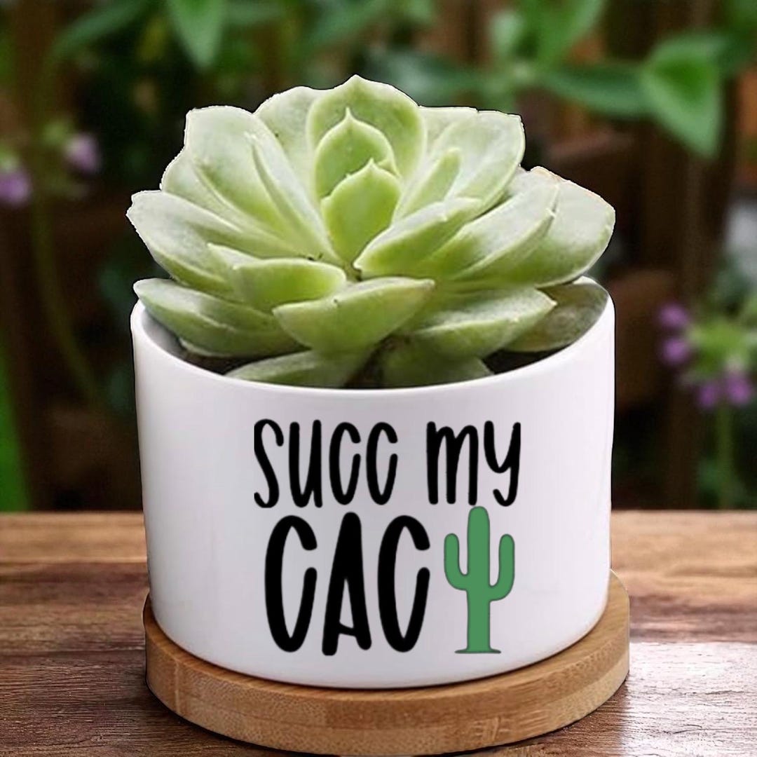 Funny Succulent Planter Gift, Witty Plant Pot With Quote, Small Funny ...