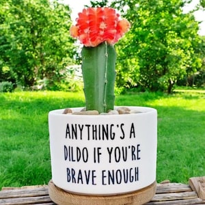 May include: A potted cactus with a vibrant red and orange top, set in a white ceramic pot. The pot features the text "ANYTHING'S A DILDO IF YOU'RE BRAVE ENOUGH" in black. The plant sits on a wooden base, with a green background.
