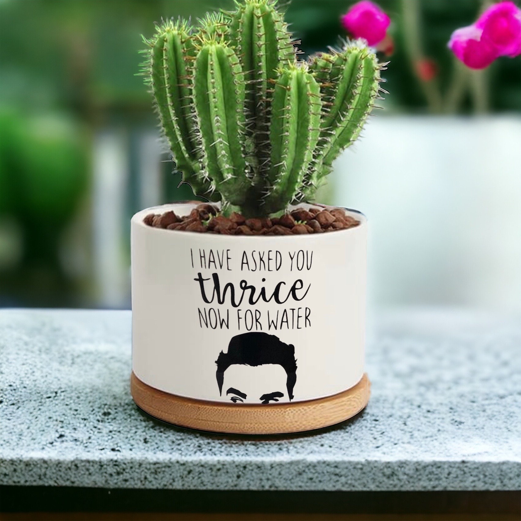 Funny Planter Pot, Herb Garden Planter, Plant Puns, Terracotta Pot ...