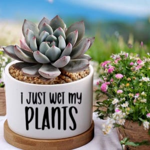 May include: White ceramic planter with a succulent plant and the text "I just wet my plants" in black lettering. The planter is sitting on a wooden base.