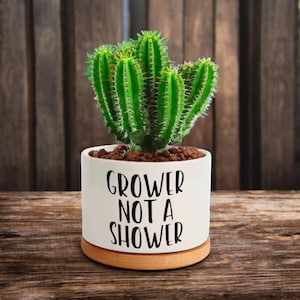 Funny Succulent Planter Gift, Witty Plant Pot with Quote, Small Funny Pot for Cactus or Indoor Plants, Gift for Plant Lover