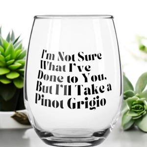 Stassi Vanderpump, Cute Wine Glass, Vanderpump Gift, Bravo Lover Gift, Reality TV Glass, Funny Wine Gift, Wine Glass Saying, Wine Lover,