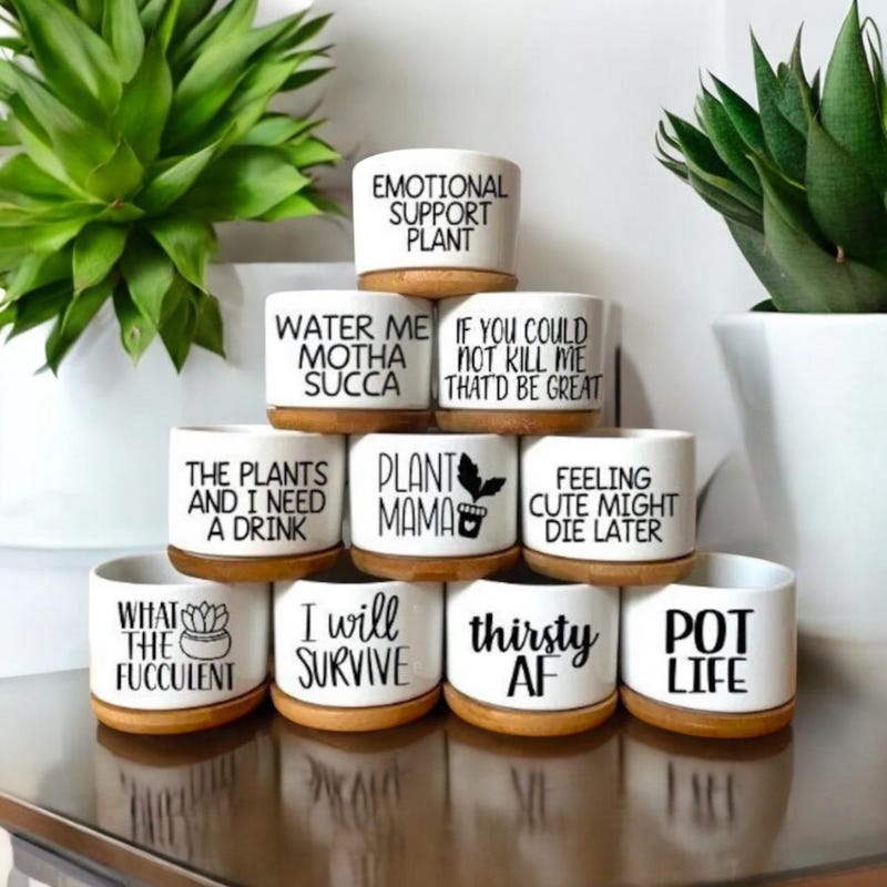 Funny Plant Pot - Etsy