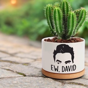 May include: White ceramic planter with a wood base, featuring a black and white silhouette of a man's face with the text "Ew, David". A cactus plant is growing in the planter.