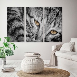 Puede incluir: Impresión en lienzo de tres paneles que muestra un primer plano de la cara de un gato. El pelaje del gato es gris y negro, con brillantes ojos amarillos. La obra de arte se exhibe en un salón moderno.